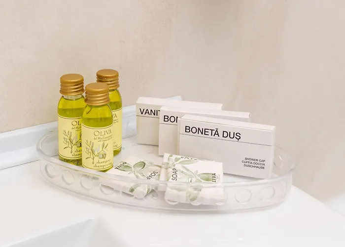 فندق مينيرفا بوخارست